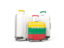 Lithuania. Luggage with flag. Download icon.