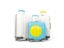 Palau. Luggage with flag. Download icon.