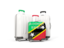 Saint Kitts and Nevis. Luggage with flag. Download icon.
