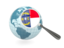 Flag of state of North Carolina. Magnified flag with blue globe. Download icon