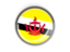 Brunei. Metal framed round button. Download icon.