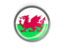 Wales. Metal framed round button. Download icon.