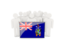 South Georgia and the South Sandwich Islands. People with flag. Download icon.