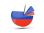 Russia. Pie chart with slices. Download icon.