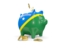 Solomon Islands. Piggy bank. Download icon.