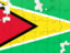 Guyana. Puzzle. Download icon.