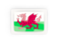 Wales. Rectangular carbon icon. Download icon.