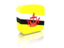 Brunei. Rectangular icon. Download icon.