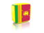 Sri Lanka. Rectangular icon. Download icon.