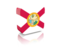 Flag of state of Florida. Rectangular icon. Download icon