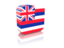 Flag of state of Hawaii. Rectangular icon. Download icon