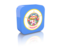 Flag of state of Minnesota. Rectangular icon. Download icon