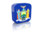 Flag of state of New York. Rectangular icon. Download icon