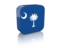 Flag of state of South Carolina. Rectangular icon. Download icon