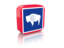 Flag of state of Wyoming. Rectangular icon. Download icon