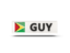 Guyana. Rectangular icon with ISO code. Download icon.
