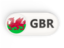Wales. Round button with ISO code. Download icon.