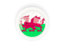 Wales. Round carbon icon. Download icon.