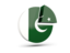 Pakistan. Round diagram. Download icon.