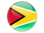 Icons and illustration of flag of Guyana