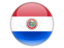 Icons and illustration of flag of Paraguay