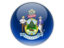 Flag of state of Maine. Round icon. Download icon