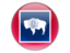 Flag of state of Wyoming. Round icon. Download icon