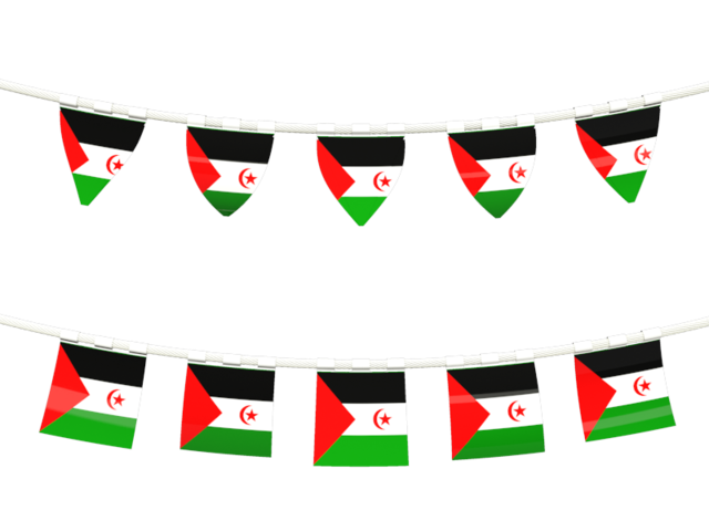 Rows of flags. Download flag icon of Western Sahara at PNG format