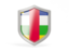 Central African Republic. Shield icon. Download icon.