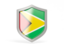 Guyana. Shield icon. Download icon.