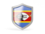Swaziland. Shield icon. Download icon.