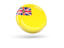 Niue. Shiny round icon. Download icon.