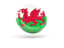 Wales. Shiny round icon. Download icon.