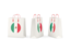 Mexico. Shopping bags. Download icon.