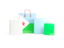 Djibouti. Shopping bags with flag. Download icon.