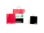 Iraq. Shopping bags with flag. Download icon.