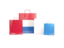 Netherlands. Shopping bags with flag. Download icon.