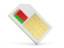 Belarus. Sim card icon. Download icon.