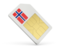 Bouvet Island. Sim card icon. Download icon.