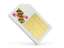 Flag of state of Maryland. Sim card icon. Download icon