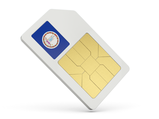 Sim card icon. Download flag icon of Virginia