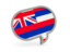 Flag of state of Hawaii. Speech bubble icon. Download icon