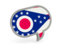 Flag of state of Ohio. Speech bubble icon. Download icon