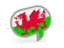 Wales. Speech bubble icon. Download icon.