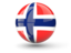 Bouvet Island. Sphere icon. Download icon.