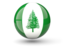 Norfolk Island. Sphere icon. Download icon.