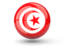 Tunisia. Sphere icon. Download icon.