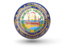 Flag of state of New Hampshire. Sphere icon. Download icon