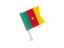 Cameroon. Square flag pin. Download icon.