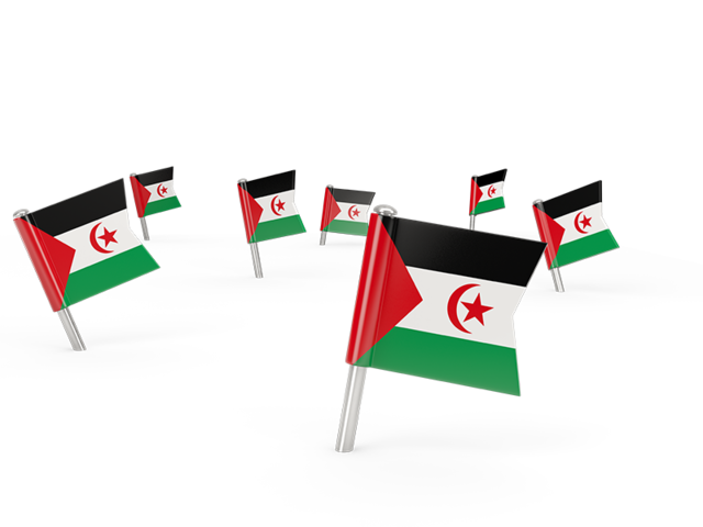 Square flag pins. Download flag icon of Western Sahara at PNG format